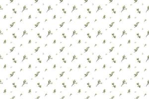 Olive bouquet with green leaf as seamless pattern background vector