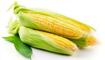 AI generated Fresh corn fruits with green leaves isolated on white background. Generative ai photo