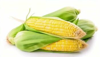 AI generated Fresh corn fruits with green leaves isolated on white background. Generative ai photo