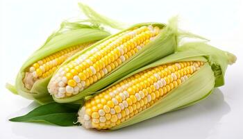 AI generated Fresh corn fruits with green leaves isolated on white background. Generative ai photo