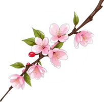 AI generated cherry blossom branch with pink flowers and leaves png