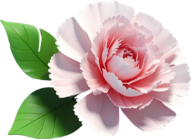 ai gerado Rosa cravo flor clipart png