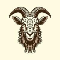 A hand-drawn goat. Retro style engraving. A farm animal in the line style. vector