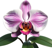 ai genererad orkide blomma ClipArt png