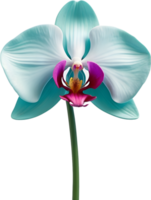 ai genererad orkide blomma ClipArt png