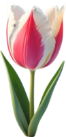 ai generado un tulipán flor png