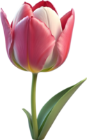 ai gegenereerd een tulp bloem PNG