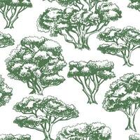 vector seamless pattern with trees in engraving style. vintage tree illustration, black and white sketch