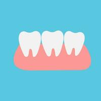 Healthy teeth in the gums. Side view. Dental design. Vector. vector