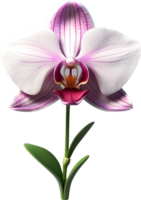 ai genererad orkide blomma ClipArt png