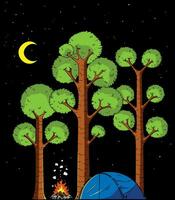 Forest Camp at Night vector