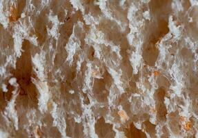 Macro or Close up bread. Lines, tissue or bread texture. Close up view of bread texture. photo