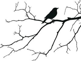 Black silhouette bird on the branch. Sparrow. For banner, poster, icon, badge. Vector illustration. AI generated illustration.