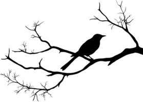 Bird on branch isolated on white background, vector. Bird silhouette on tree, illustration. Minimalist black and white art design. AI generated illustration. vector