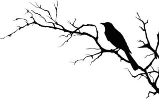 Bird on branch isolated on white background, vector. Bird silhouette on tree, illustration. Minimalist black and white art design. AI generated illustration. vector