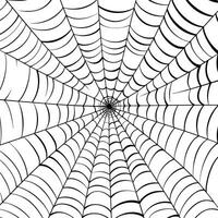 vector contorno ilustración de un sencillo lujoso Víspera de Todos los Santos araña web, aislado objeto en el blanco fondo, clipart útil para Víspera de Todos los Santos fiesta decoración, mano dibujado imagen. ai generado ilustración.