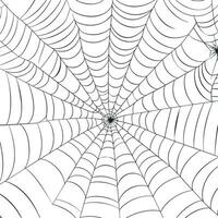 Vector outline illustration of a simple fancy Halloween spider web, isolated object on the white background, clipart useful for halloween party decoration, hand drawn image. AI generated illustration.