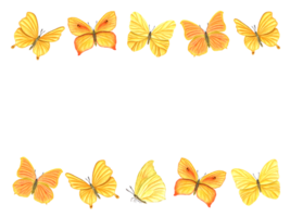 Horizontal frame of yellow orange butterflies. Fluttering lepidoptera, tropical flying insects. png