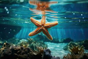 ai generado un estrella de mar es en el superficial agua de un Oceano foto