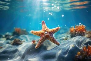 AI generated a starfish is in the shallow water of an ocean photo