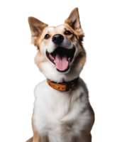 AI generated Happy Dog Strike a Pose png