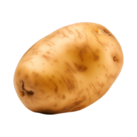 AI generated fresh raw potato vegetable isolated on a transparent background, PNG