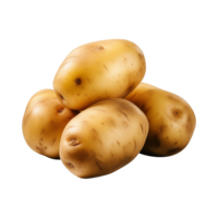 ai gegenereerd vers rauw aardappel groente geïsoleerd Aan een transparant achtergrond, PNG