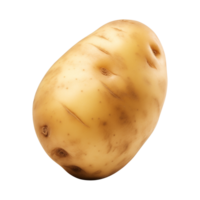 AI generated fresh raw potato vegetable isolated on a transparent background, PNG