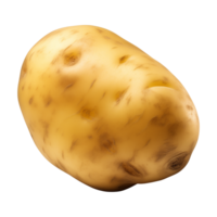 AI generated fresh raw potato vegetable isolated on a transparent background, PNG