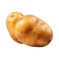 AI generated fresh raw potato vegetable isolated on a transparent background, PNG