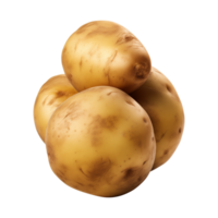 ai generiert frisch roh Kartoffel Gemüse isoliert auf ein transparent Hintergrund, png