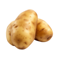 AI generated fresh raw potato vegetable isolated on a transparent background, PNG