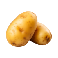 AI generated fresh raw potato vegetable isolated on a transparent background, PNG