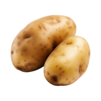 AI generated fresh raw potato vegetable isolated on a transparent background, PNG