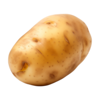 AI generated fresh raw potato vegetable isolated on a transparent background, PNG