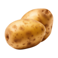 AI generated fresh raw potato vegetable isolated on a transparent background, PNG