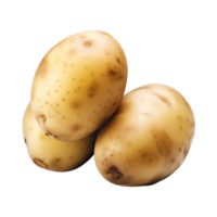 AI generated fresh raw potato vegetable isolated on a transparent background, PNG