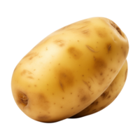 AI generated fresh raw potato vegetable isolated on a transparent background, PNG