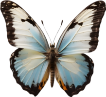 ai generado mariposa png imagen