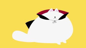 2d animated funny cat video