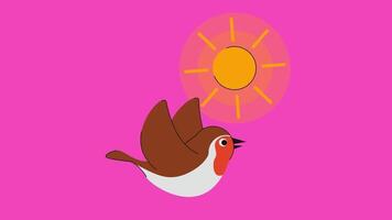 Bird and sun on pink background video