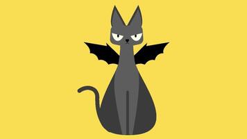 2d animated funny cat video