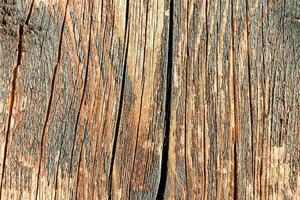 Wooden texture closeup photo