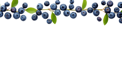 AI generated flat lay, blue blueberries on a transparent background. view from above png