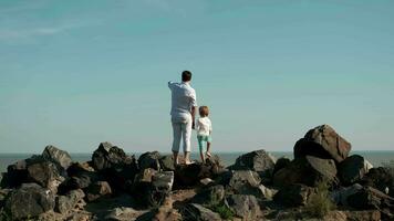 Father and son stand on the edge of a cliff and look at the ocean. video