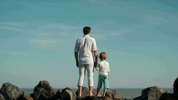 Father and son stand on the edge of a cliff and look at the ocean. video