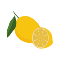 Icon set lemon, illustration png