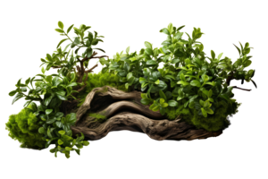 AI generated Tree branch with green leaves on transparent background created with generative AI technology png