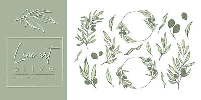 Set of Olive Branches and leaves in Line Minimal Style. Vector Illustrations of Branches With fruits and Leaves for logos, patterns, greeting cards, wedding Invitations, social media, web design.