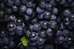 AI generated Flat lay background of vines, lots of organic blue dark grapes. AI Generated photo